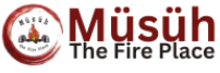 Musuh - The Fire Place