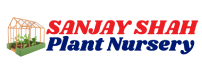 Sanjay Shah Nursery
