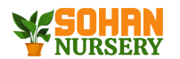Sohan Nursery