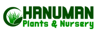 Hanuman Plants & Nursery 