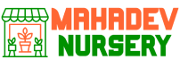 Mahadev Nursery