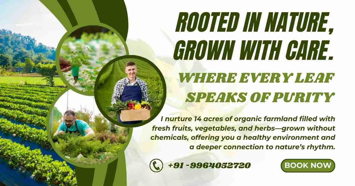 14 acre Organic Farming