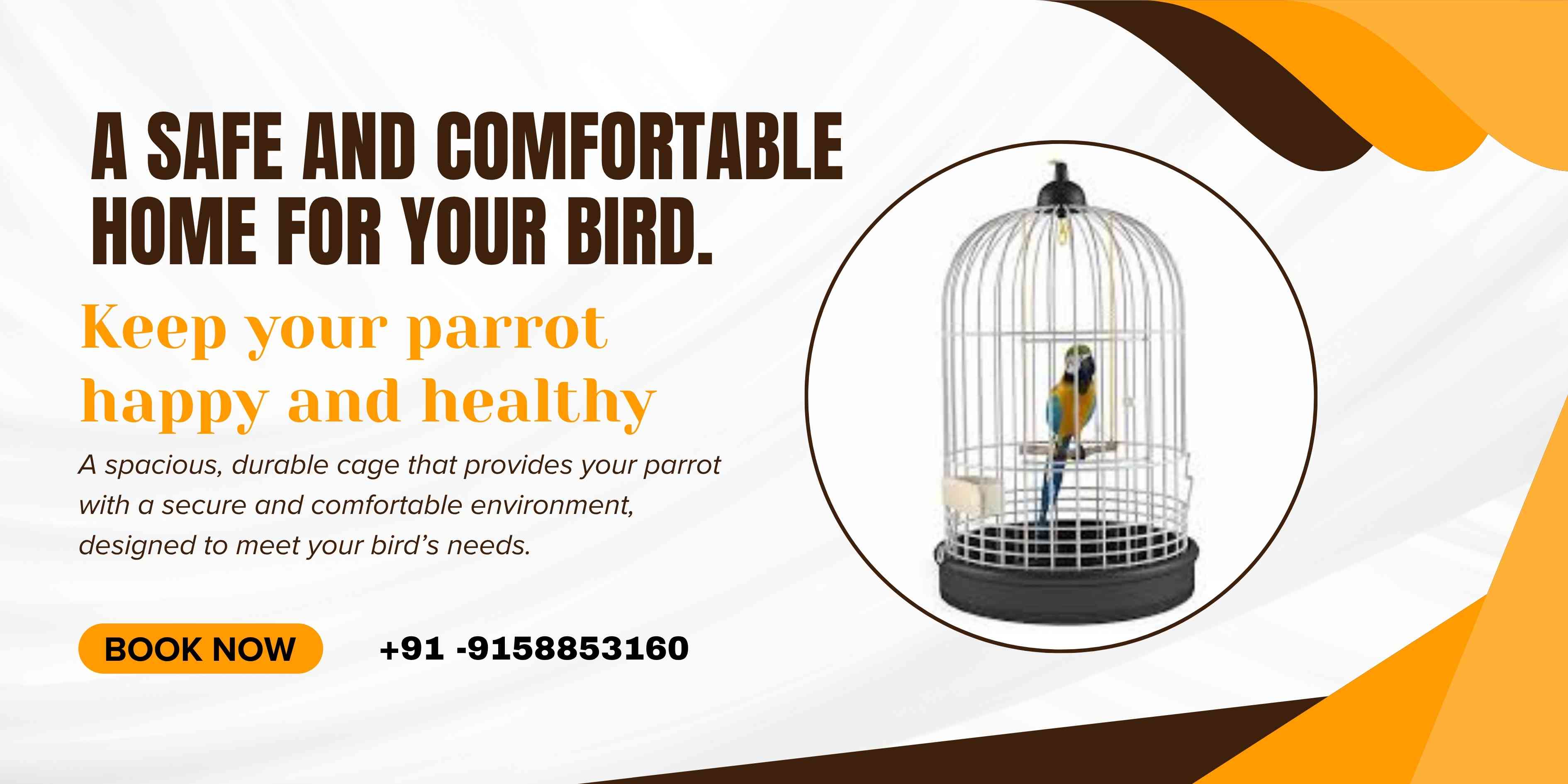 parrot cage