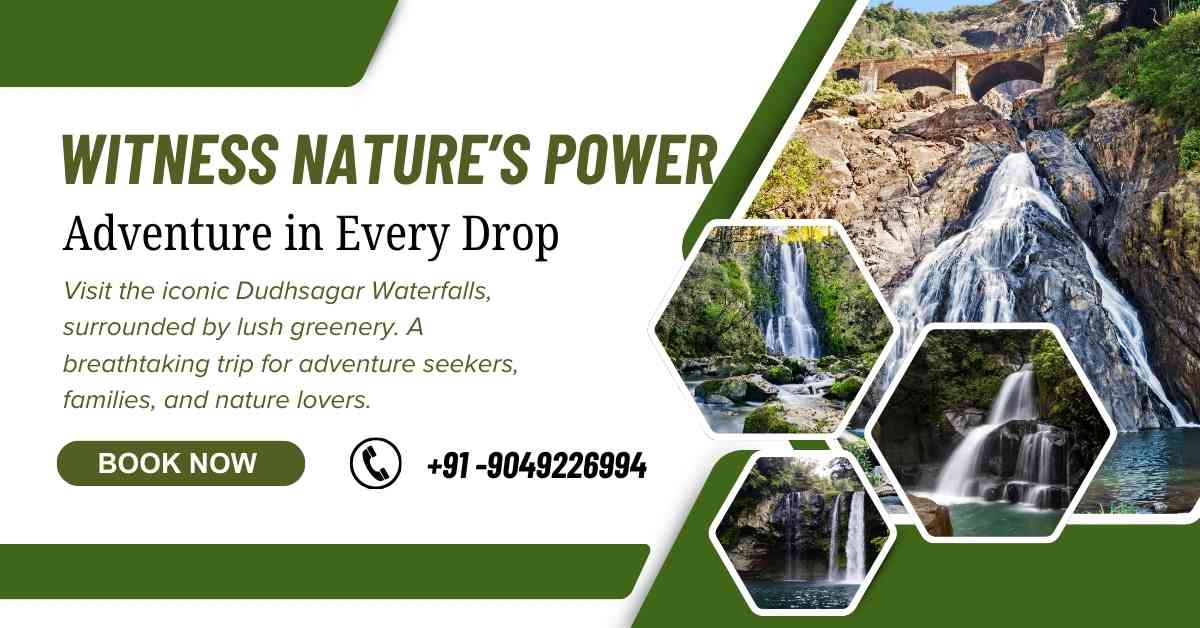 Dudhsagar Waterfall trip