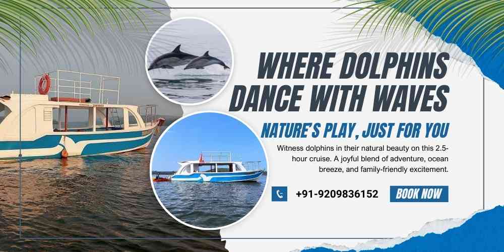 Dolphin Spotting Cruise