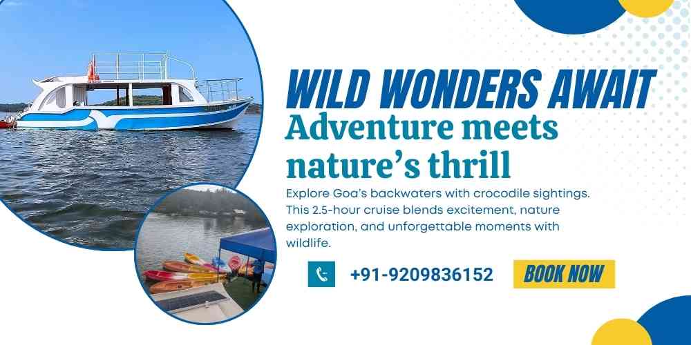 Crocodile Sightings Cruise