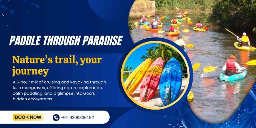 Mangrove Cruise & Kayaking