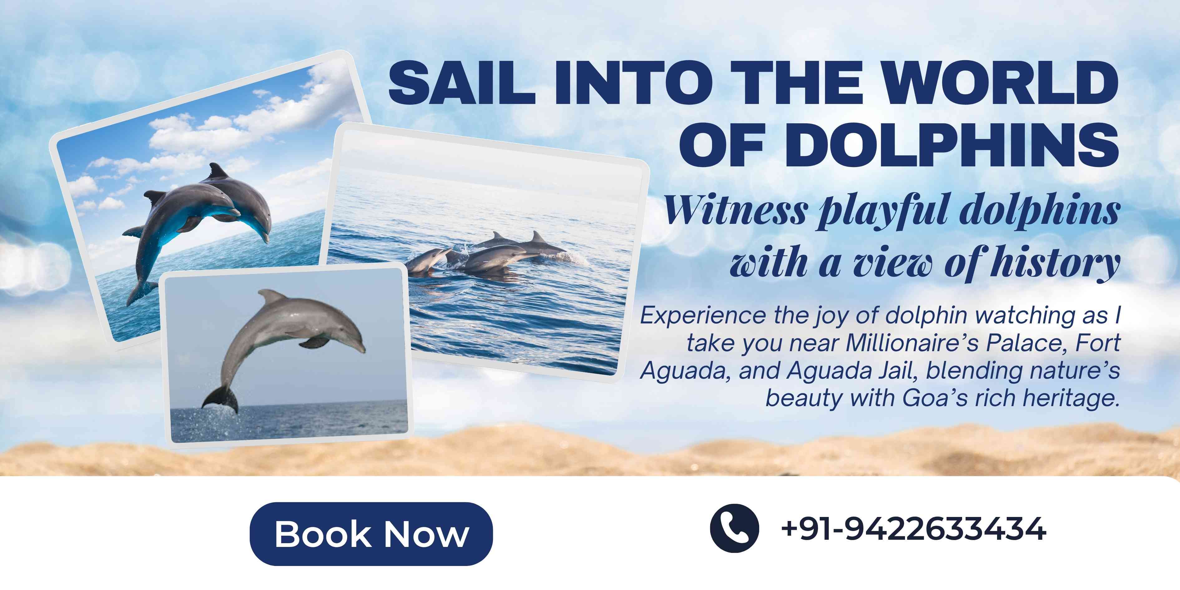 Dolphin Watching Trip