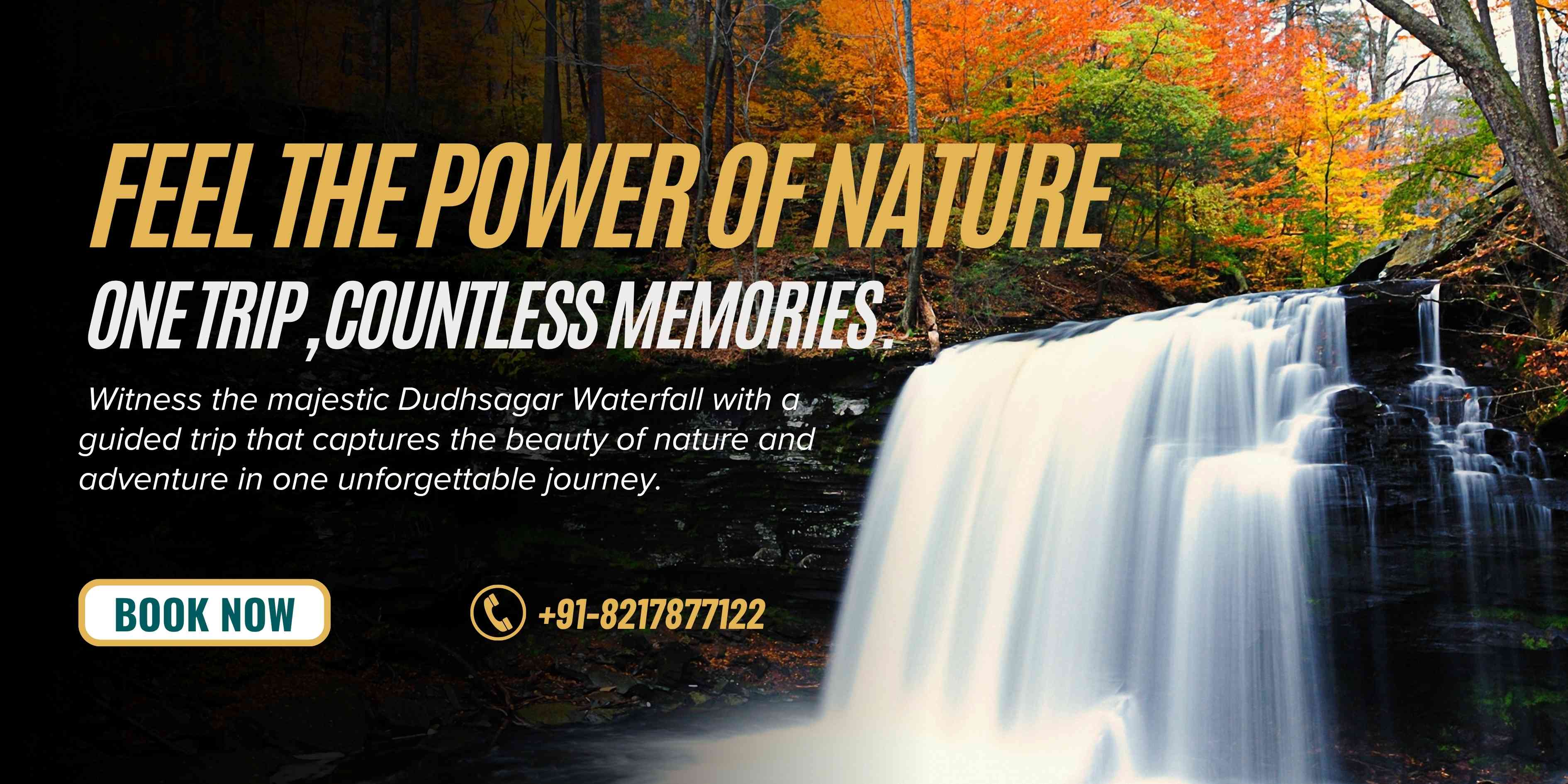 Dudhsagar Waterfall Trip