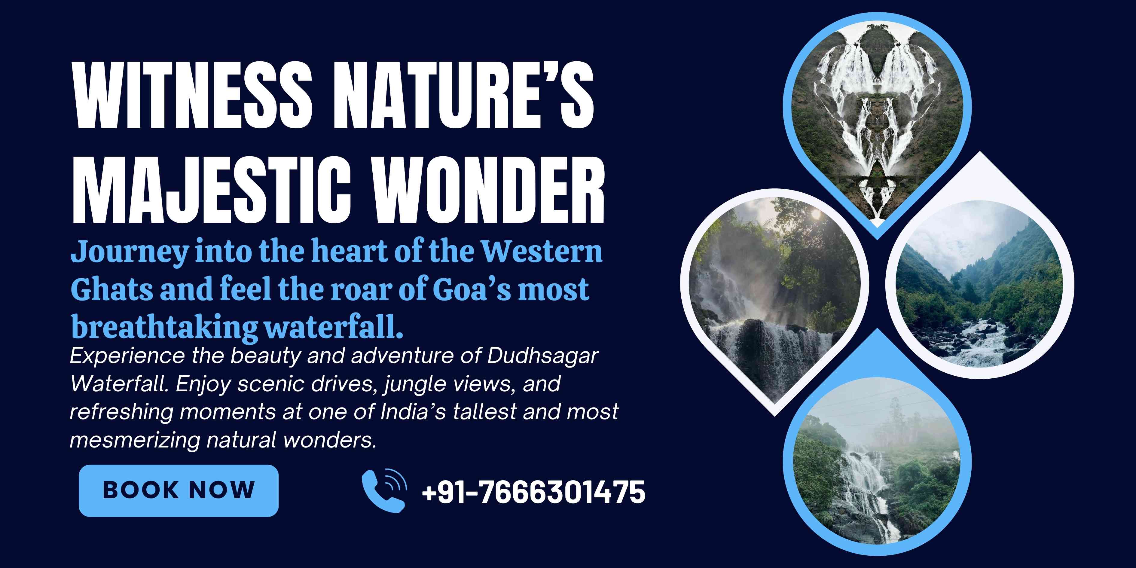 Dudhsagar Waterfall Trip