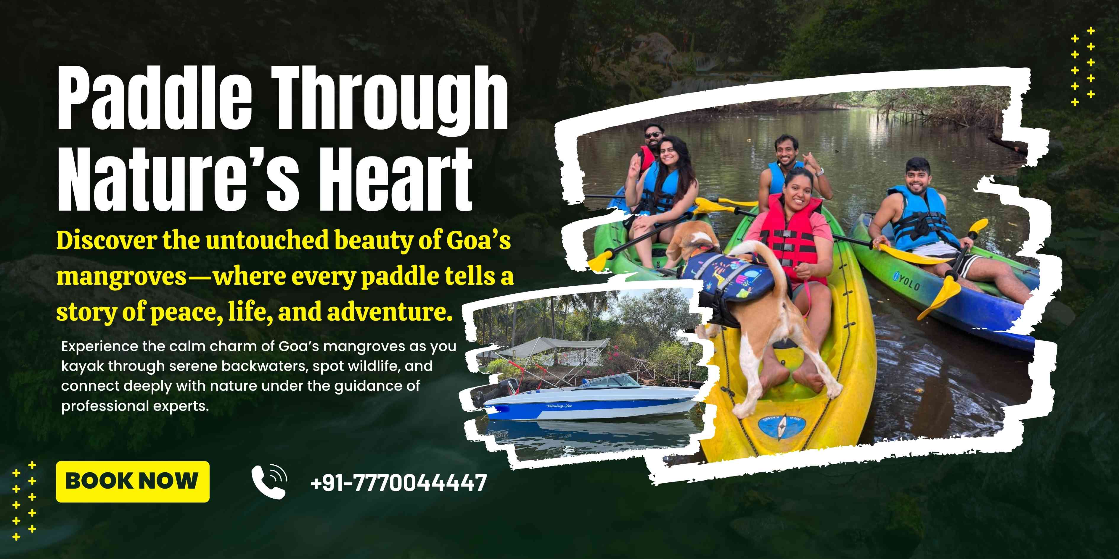 Mangrove Kayaking Experience