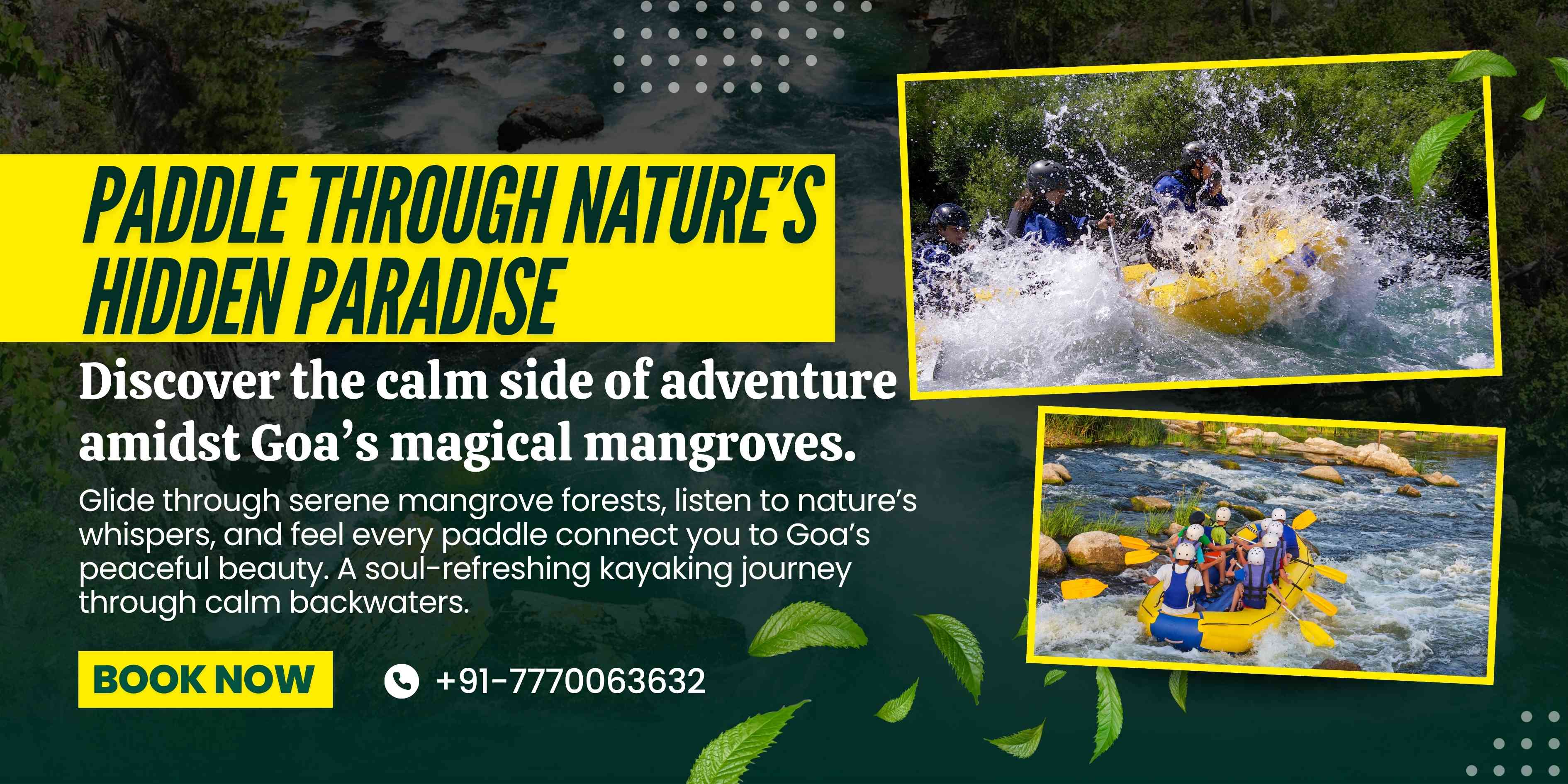 Mangrove Kayaking Experience