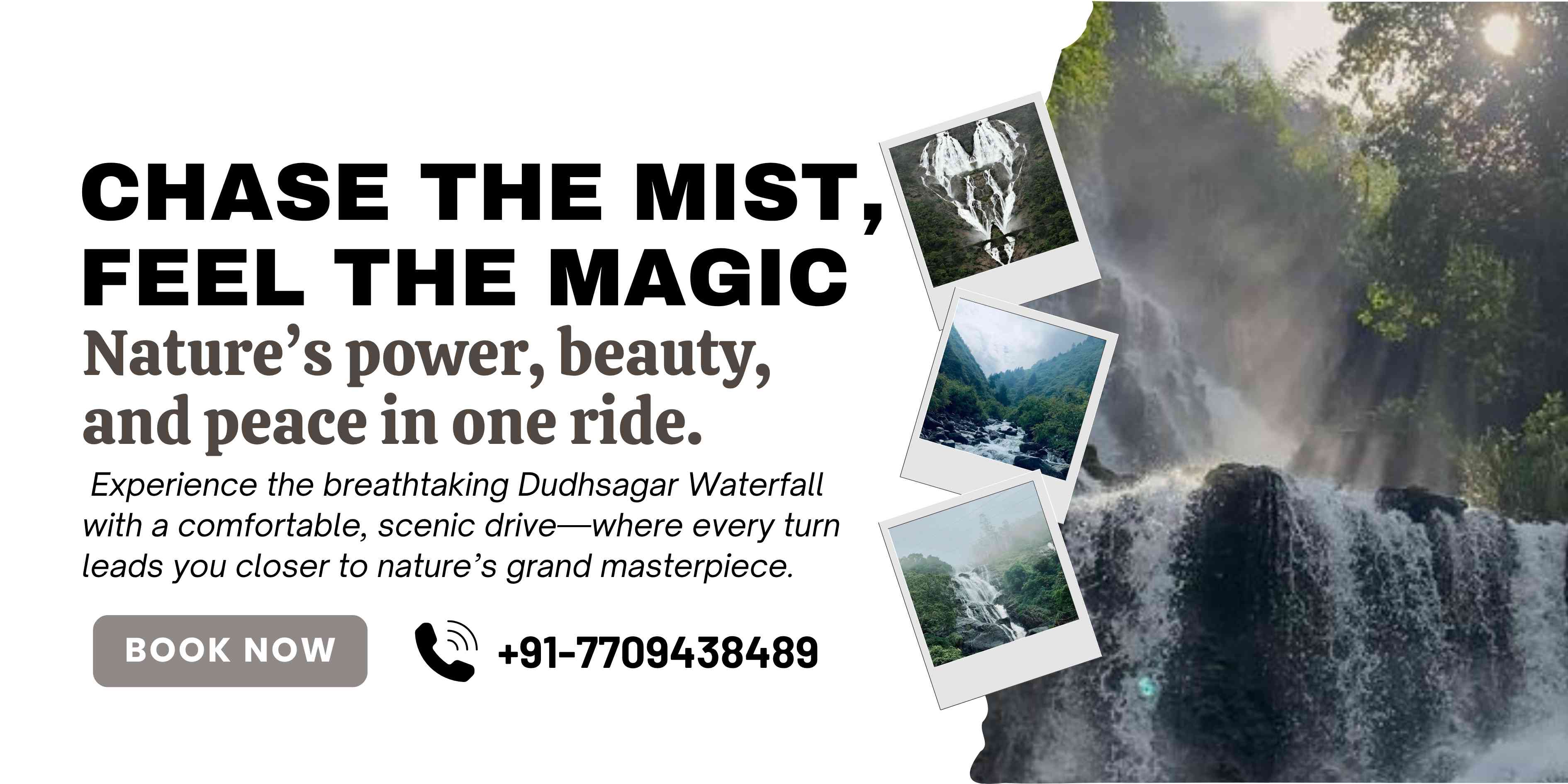 Dudhsagar Waterfall Trip
