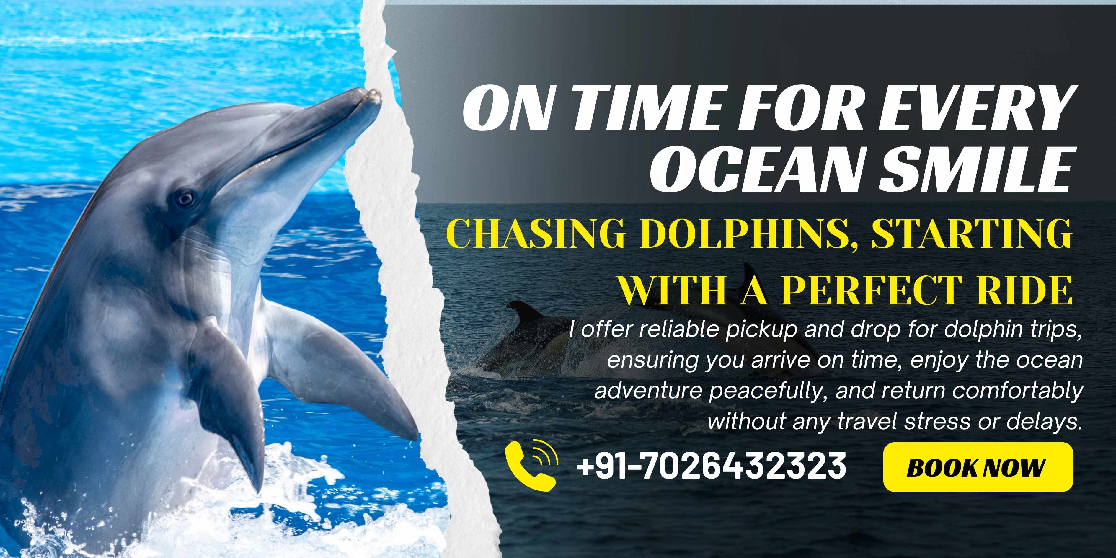 Dolphin Trip Pickup and Drop