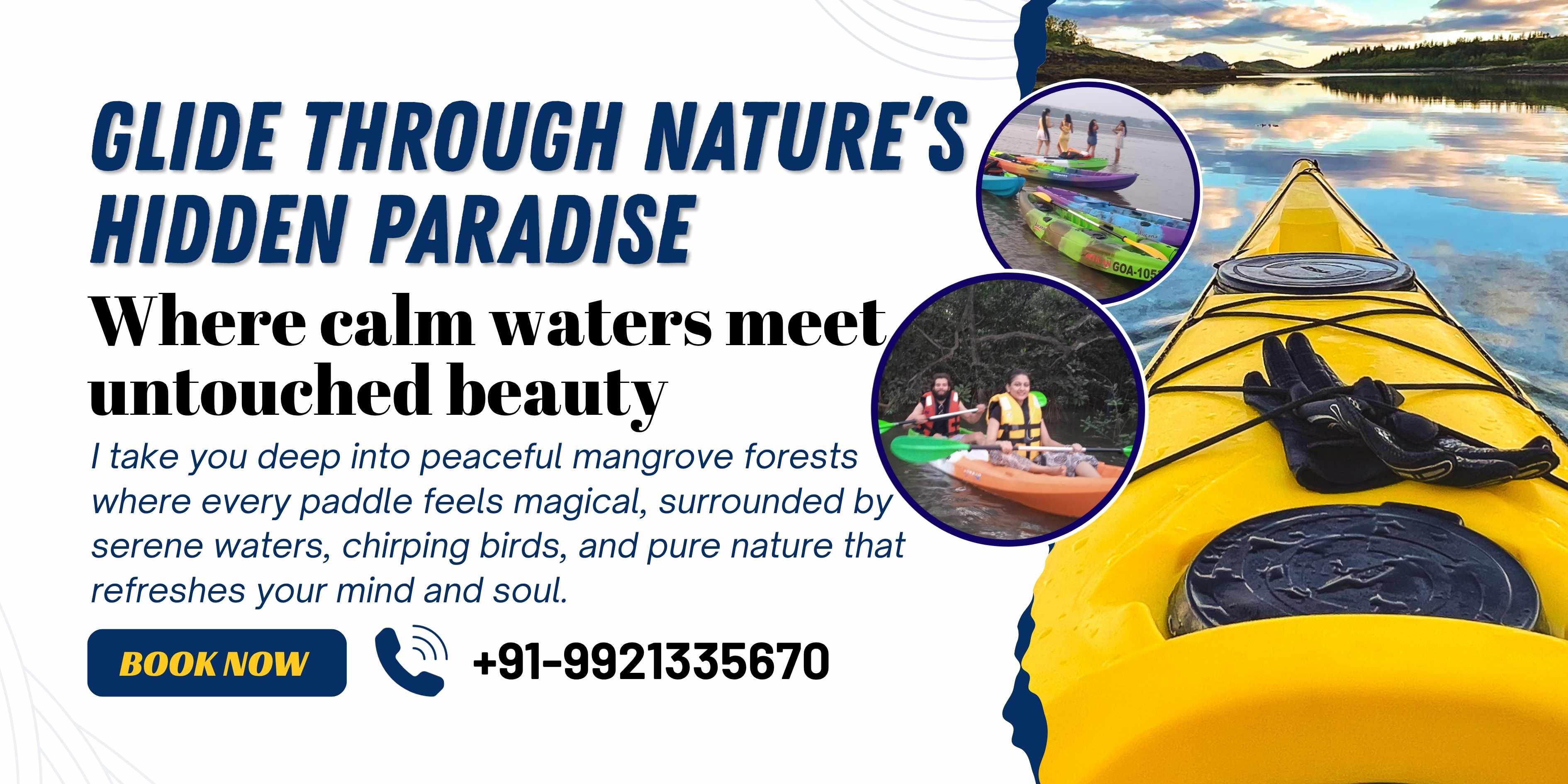 Mangrove Kayaking Experience