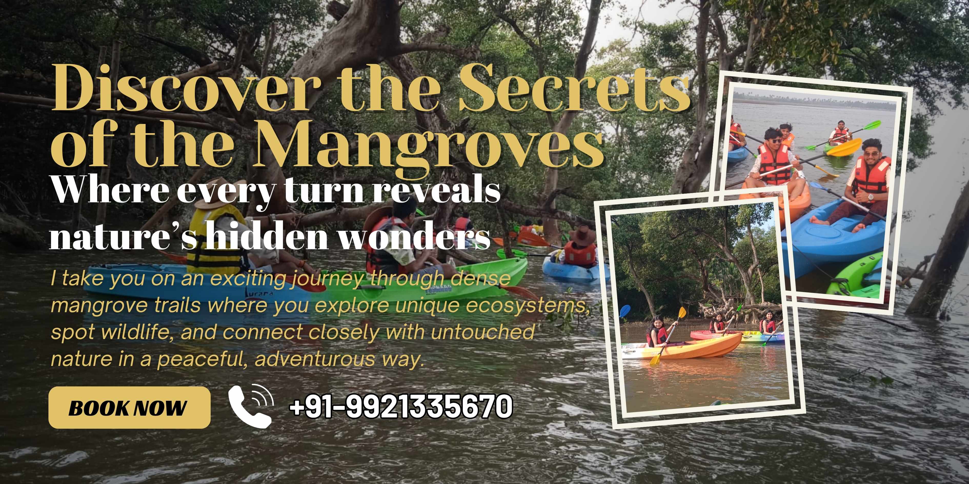 Mangrove Exploration Trip