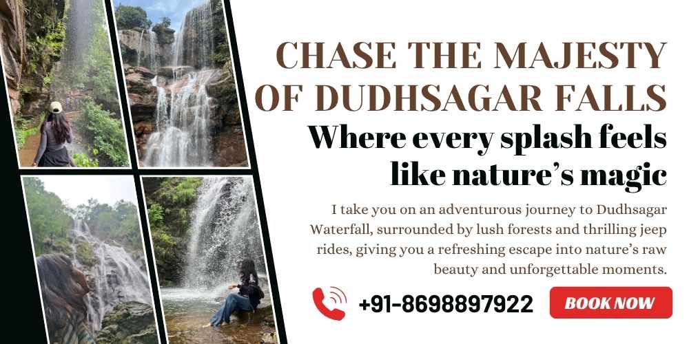 Dudhsagar Waterfall Trip