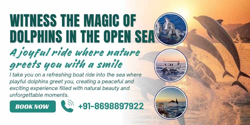 Dolphin Trip