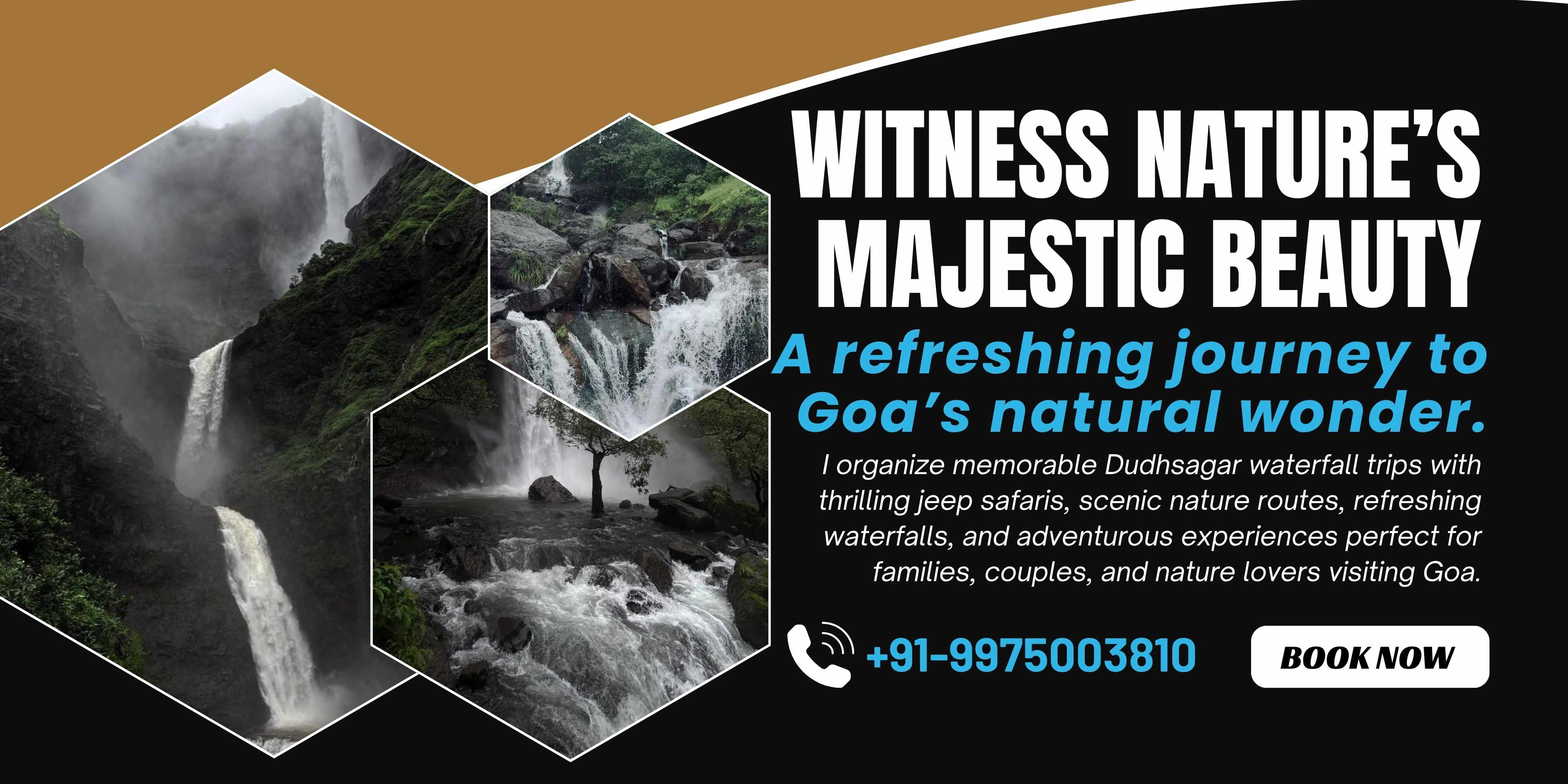 Dudhsagar Waterfall Trips