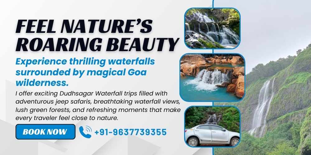 Dudhsagar Waterfall Trip