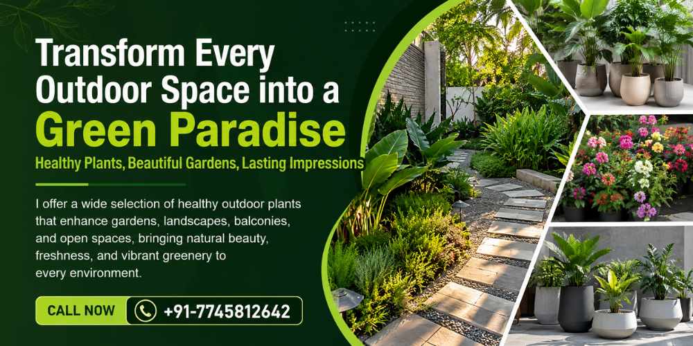 Outdoor Plant Sales