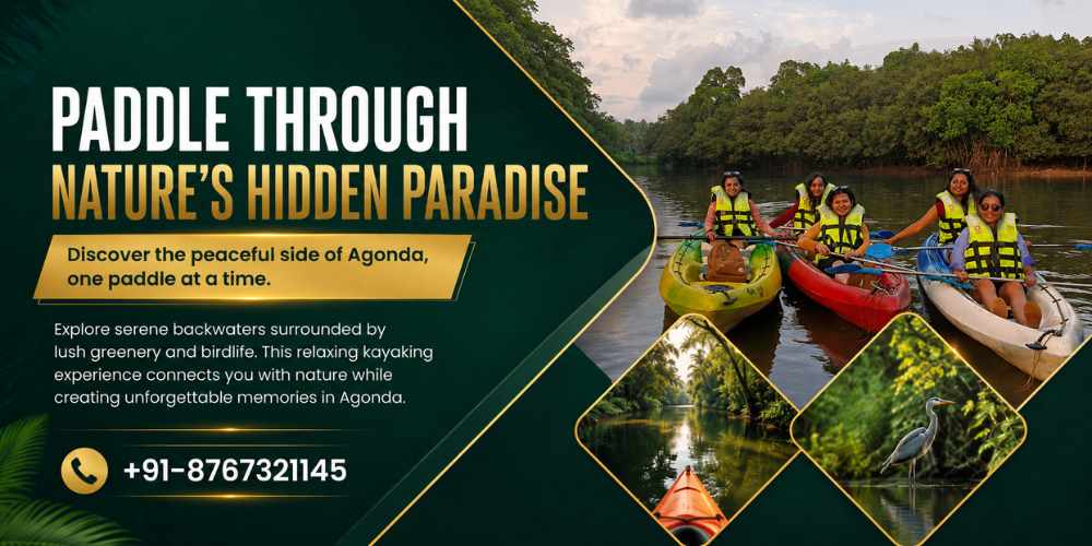 Backwater Kayaking Tours