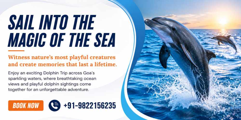 Dolphin Trip