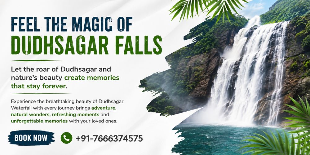 Dudhsagar Waterfall Trip
