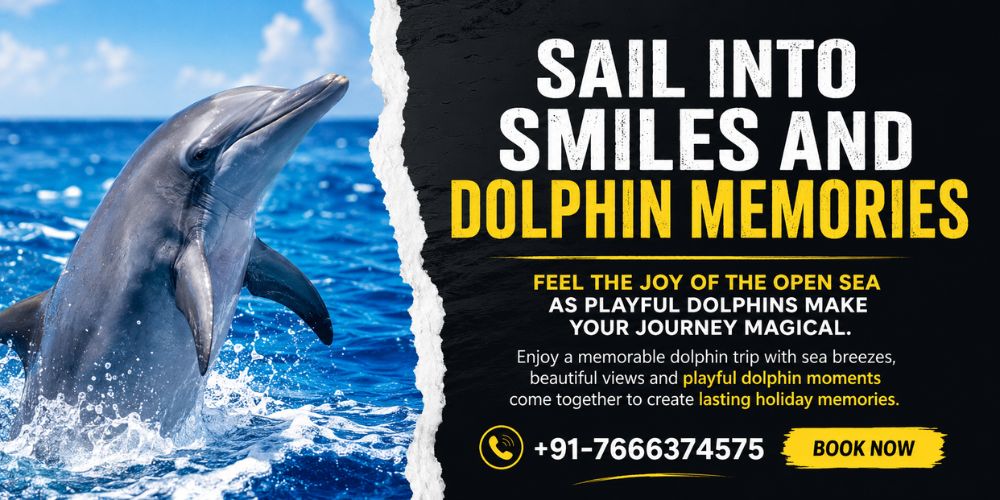 Dolphin Trip