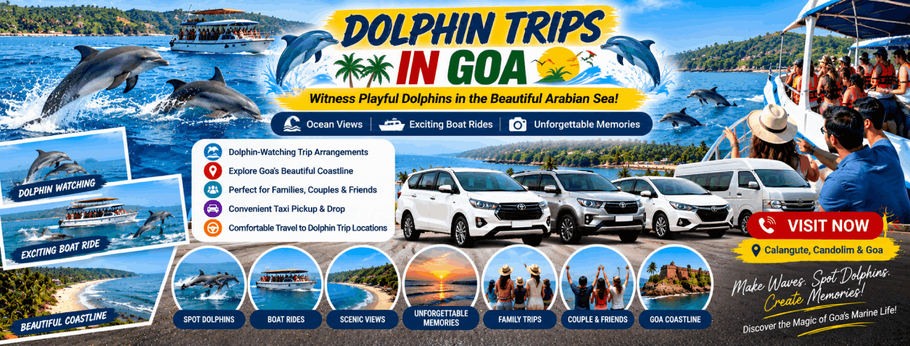 Dolphin Trips