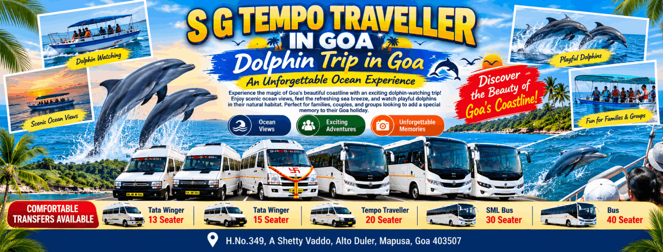 Dolphin Trip