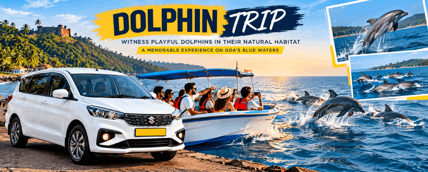 Dolphin Trip